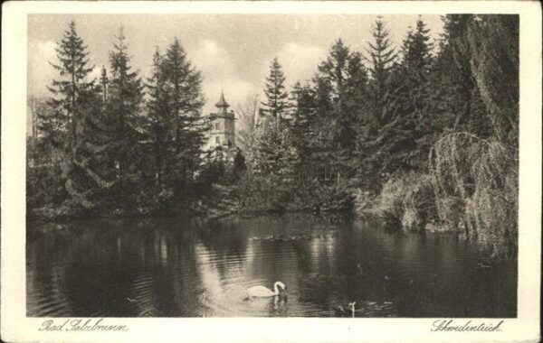 Bad Salzbrunn Szczawno-Zdroj Schwedenteich Schwan