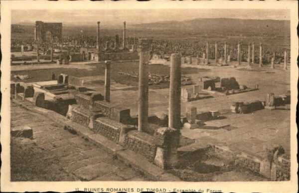 Timgad Ruines romaines ensemble du Forum