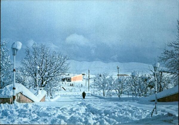 Arbil Snow in the North Salahedin