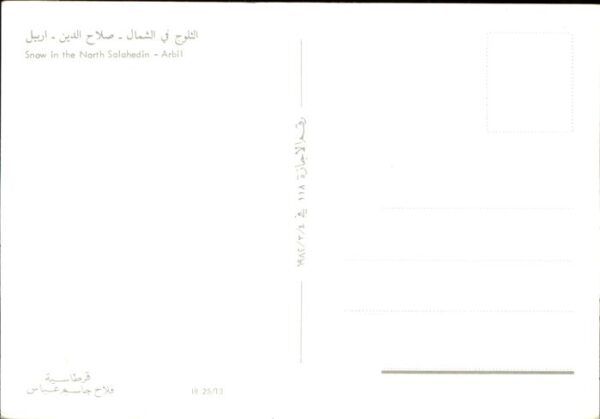 Arbil Snow in the North Salahedin – Bild 2