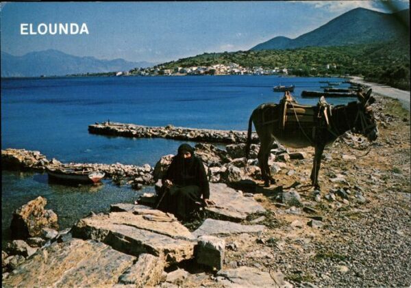Elounda Kreta Partie an der Ägäis Küste Esel