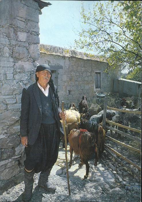 Cyprus Zypern Ziegen Hirte