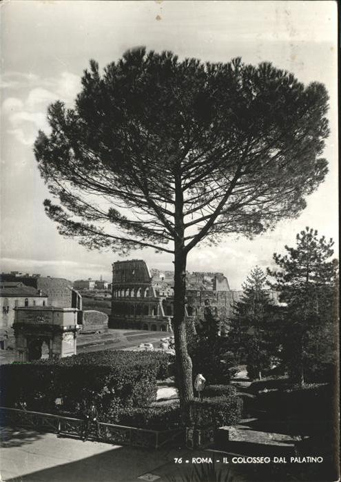 Rom Roma Il Colosseo dal Palatino Ruine antike S