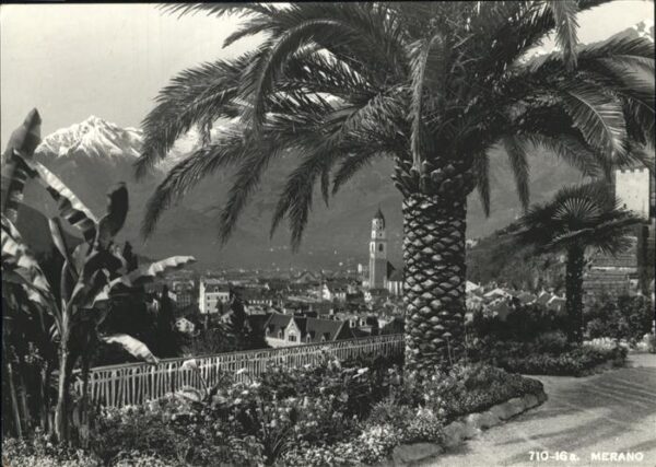 Merano Meran Teilansicht Palmen
