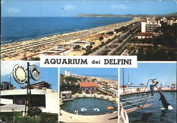 Riccione Aquarium dei Delfini Lungomare spiaggia