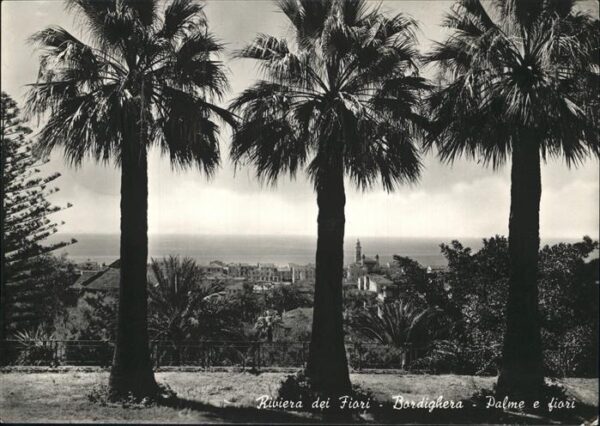 Bordighera Riviera dei Fiori Palme