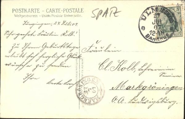 Voegel Spatz Ulm Münster – Bild 2