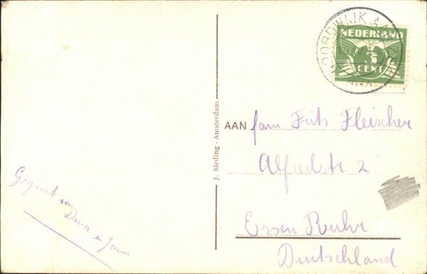 Blumen Holland Blumenfeld – Bild 2