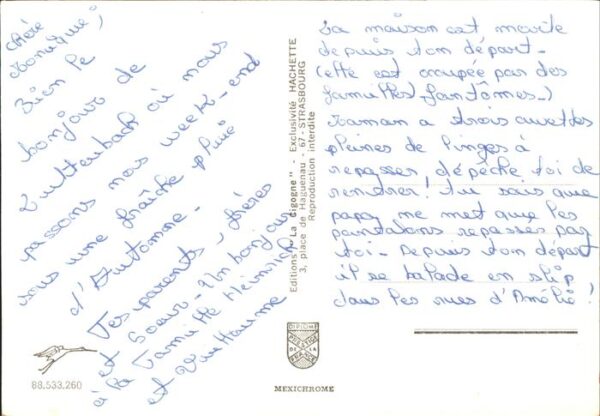 Kuehe Frankreich Mexichrome – Bild 2