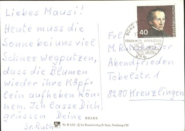 Schafe Heide Schweiz – Bild 2