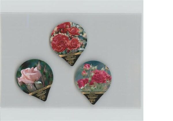 Blumen Elisabeth of Klamis Europeana Fiona
