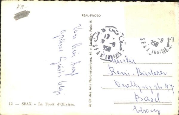 Sfax Tunesie Foret d_Oliviers – Bild 2