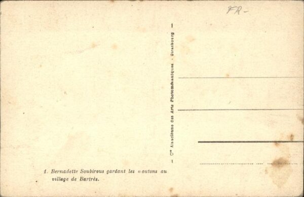 Schafe Bernadette Bartres – Bild 2