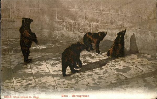 Baeren Bern Zoo