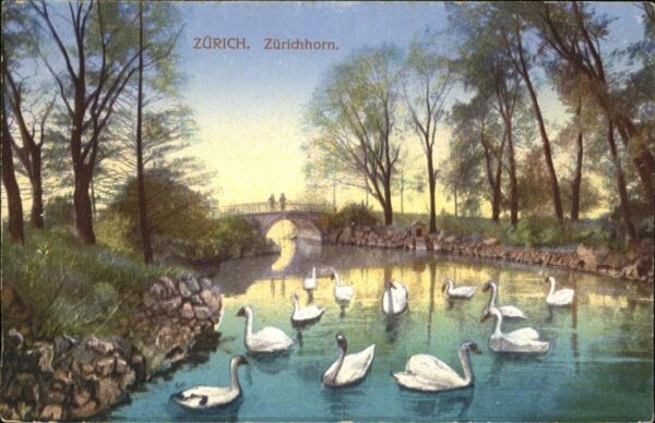 Schwan Zürichhorn Zürich