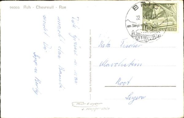 Reh Chevreuil Roe – Bild 2