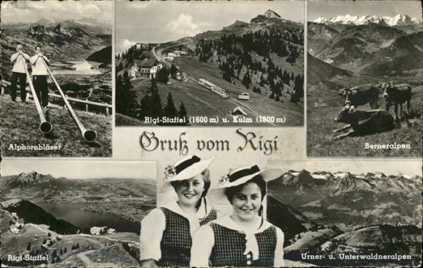 Alphorn Tracht Kuh Rigi-Staffel