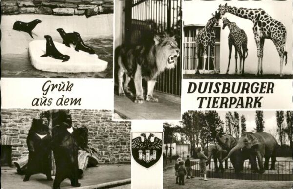 Zoo Duisburg Tierpark Löwe Giraffen Elefant