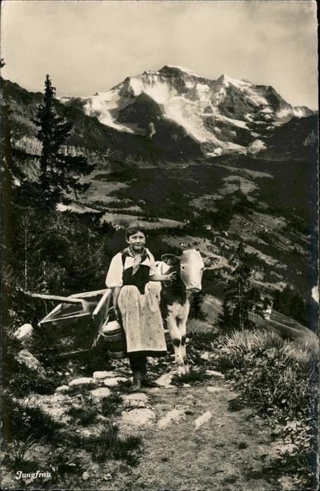 Trachten Jungfrau Kuh