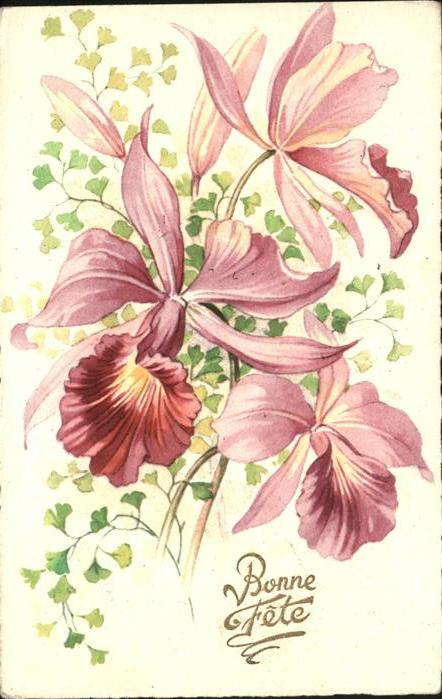 Blumen Bonne Fete
