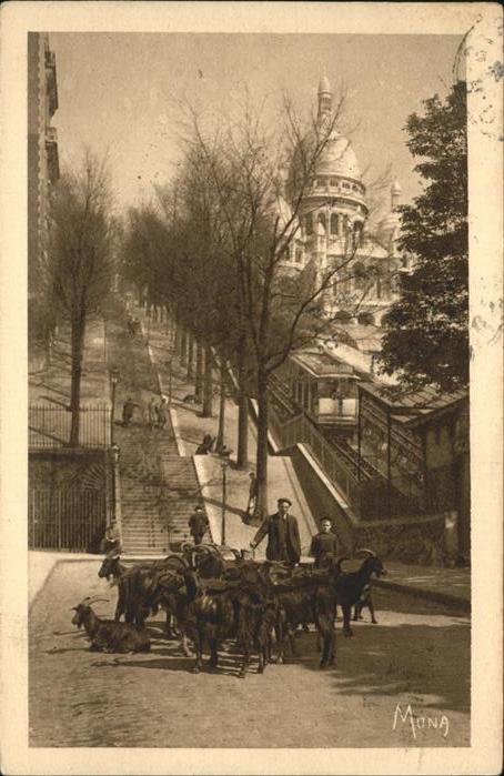 Zahnradbahn Ziegen Paris