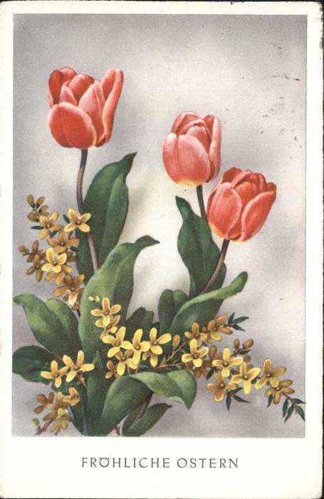 Ostern Easter Paques Tulpen