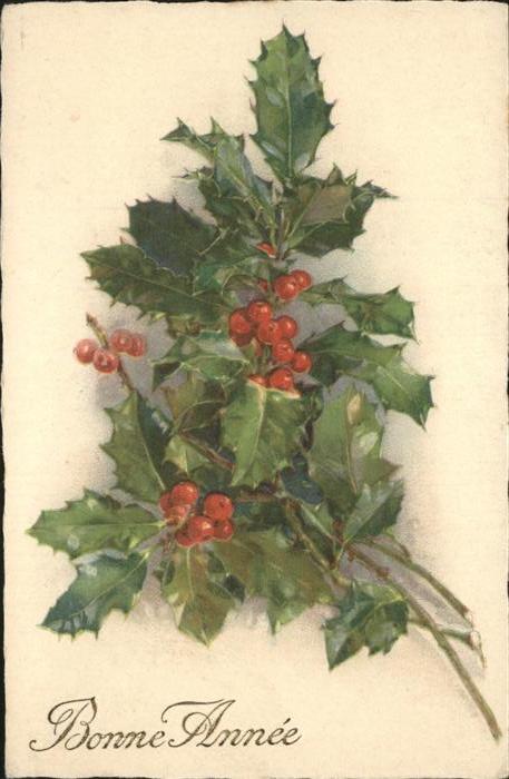 Weihnachten Bonne Annee