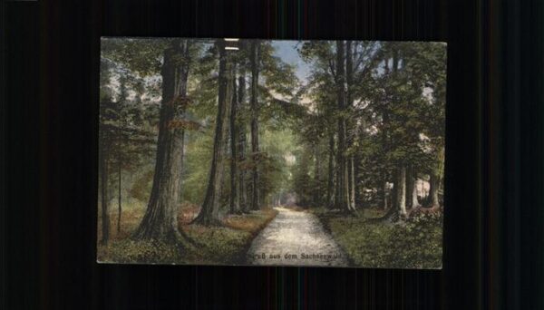 Aumuehle Partie im Sachsenwald