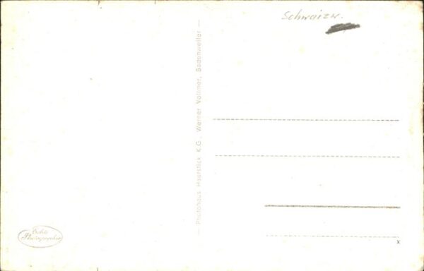 Schwarzwald Idyll Kühe – Bild 2
