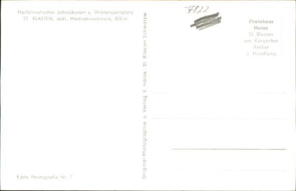 Kirchenorgel St. Blasien – Bild 2