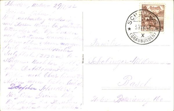 Kuehe Alp Drusen – Bild 2