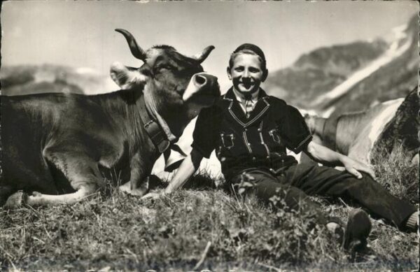 Kuehe Selden Gasterntal