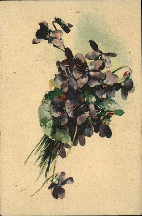 Blumen Frauenfeld
