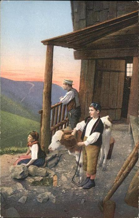 Kuehe Rickenbach Photoglob Nr. 2731