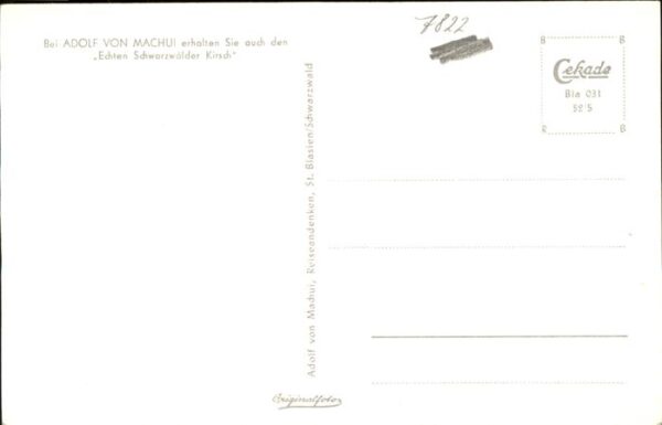 Kirchenorgel St. Blasien – Bild 2