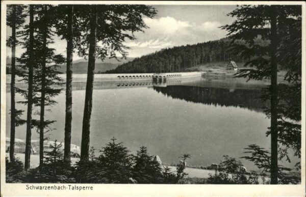 Staudamm Pumpspeicherkraftwerk Schwarzenbach-Talsperre Forbach