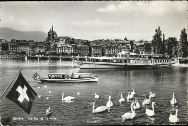 Dampfer Seitenrad Valais Geneve Schwäne