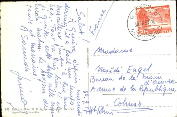 Dampfer Seitenrad Valais Geneve Schwäne – Bild 2