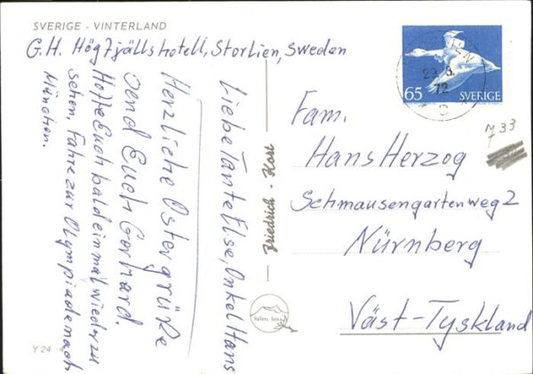 Skifahren Schlitten Till Fjälls Schweden – Bild 2
