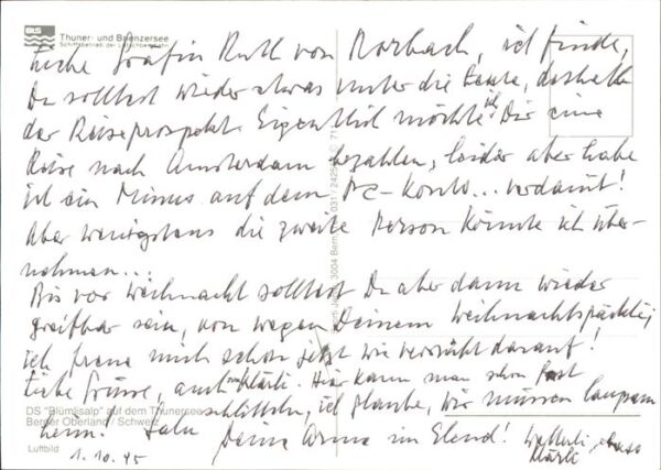 Dampfer Seitenrad DS Blümlisalp Thunersee Berner Oberland – Bild 2