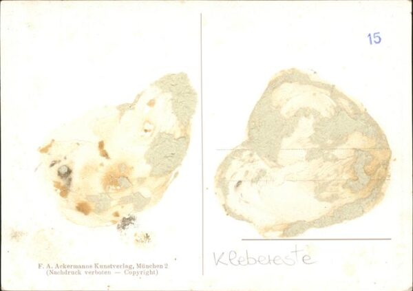 Richter Ludwig Nr. 2996 Der Hafner Dresden – Bild 2