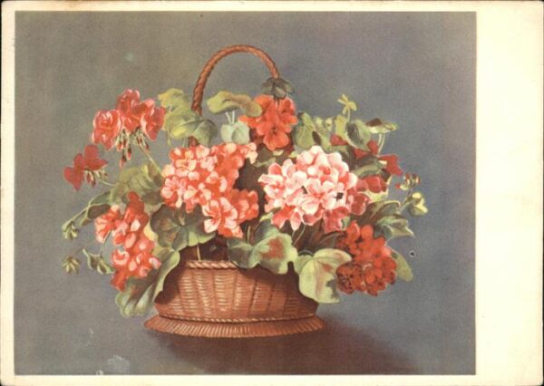 Blumen Korb Aarau