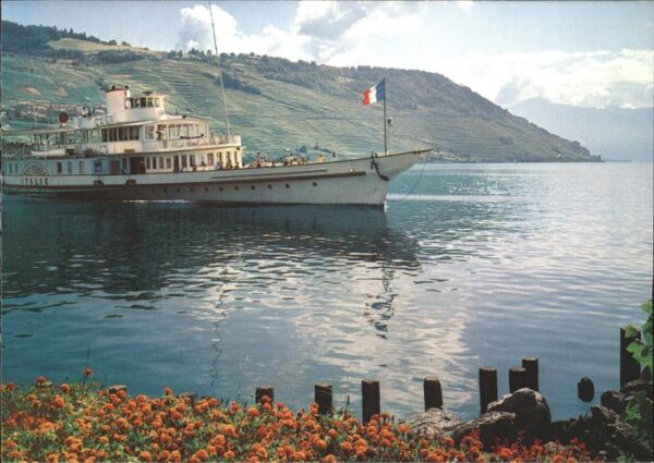 Dampfer Seitenrad Italie Lac Leman