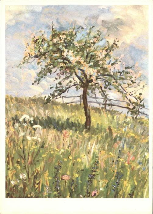 Kuenstlerkarte R. Wettstein Blühender Baum