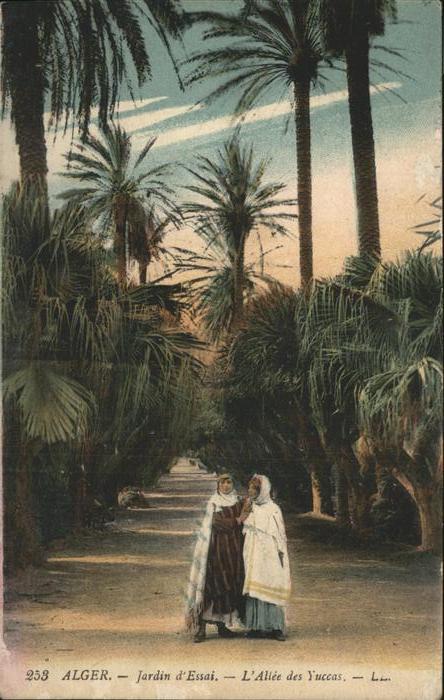 Alger Algerien Jardin d_Essai Allee des Yuccas