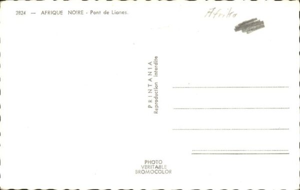 Afrika Afrique Africa Pont de lianes – Bild 2