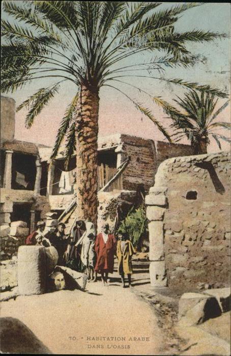 Afrika Africa Afrique Volksleben Typen Habitation arabe dans l'oasis