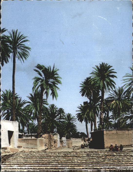 Tiznit Source sacree scenes et types