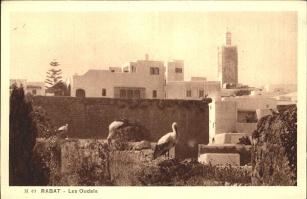 Rabat Marokko Les Oudaia Storch