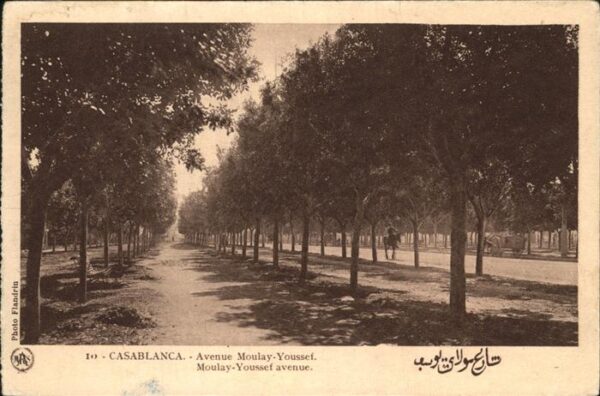 Casablanca Avenue Moulay Youssef